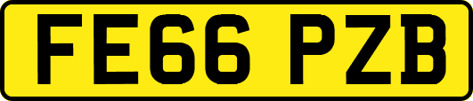 FE66PZB