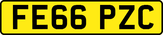 FE66PZC