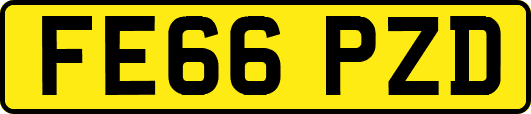 FE66PZD