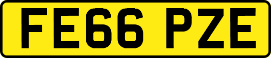 FE66PZE