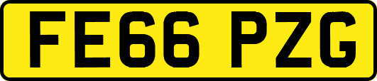 FE66PZG