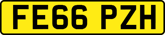 FE66PZH