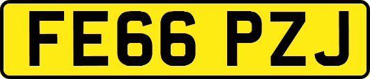 FE66PZJ