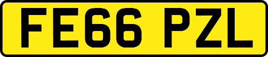FE66PZL