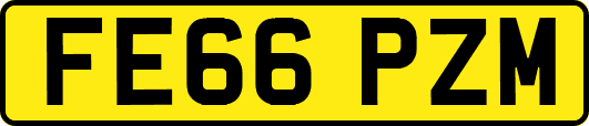 FE66PZM