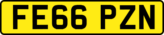 FE66PZN