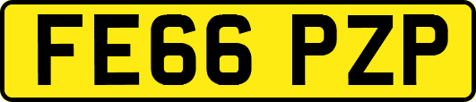 FE66PZP