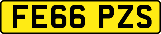 FE66PZS