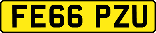 FE66PZU