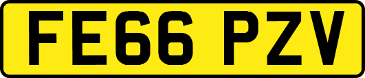 FE66PZV