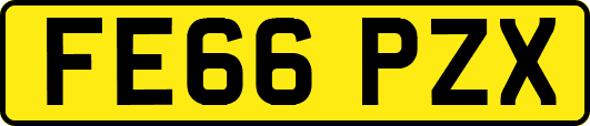 FE66PZX