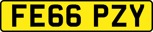 FE66PZY