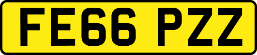 FE66PZZ