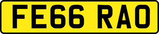 FE66RAO