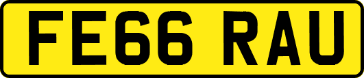 FE66RAU
