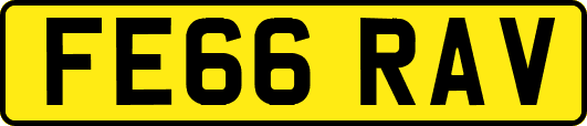 FE66RAV