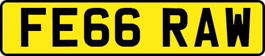 FE66RAW