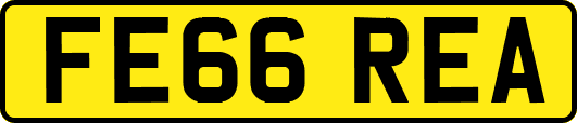 FE66REA