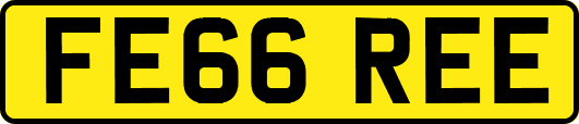 FE66REE