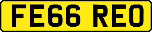FE66REO