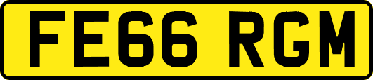 FE66RGM