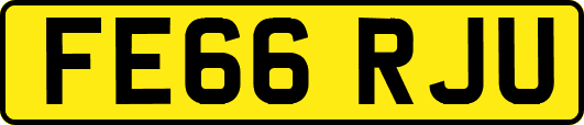 FE66RJU