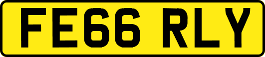 FE66RLY