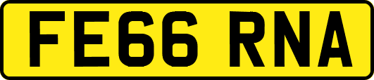 FE66RNA