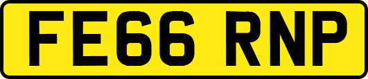 FE66RNP