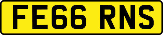 FE66RNS