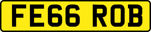 FE66ROB