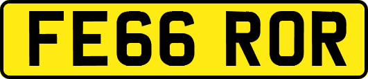 FE66ROR