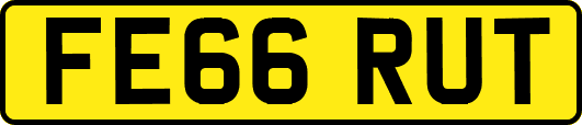 FE66RUT