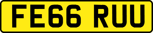 FE66RUU