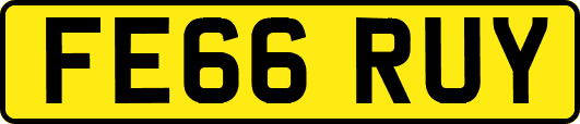 FE66RUY