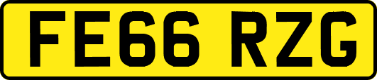 FE66RZG