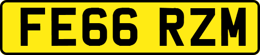 FE66RZM
