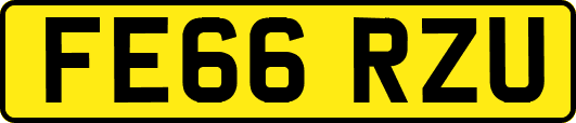 FE66RZU
