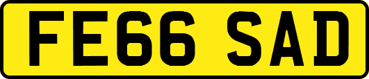 FE66SAD