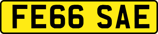 FE66SAE