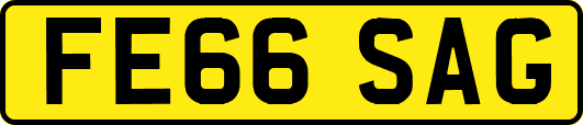 FE66SAG