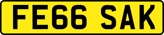 FE66SAK