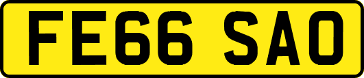 FE66SAO