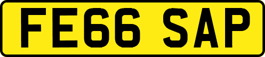FE66SAP