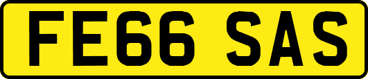 FE66SAS