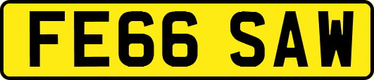 FE66SAW