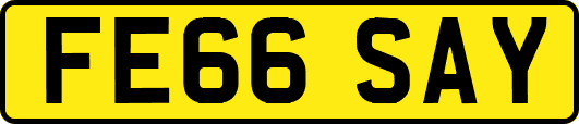 FE66SAY