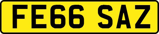 FE66SAZ