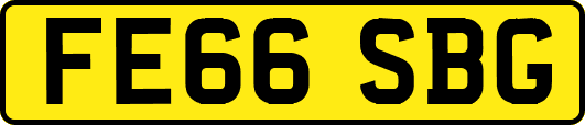 FE66SBG