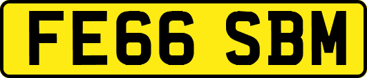 FE66SBM